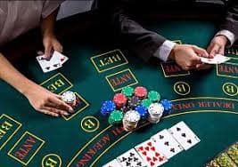 lm339 Live Casino